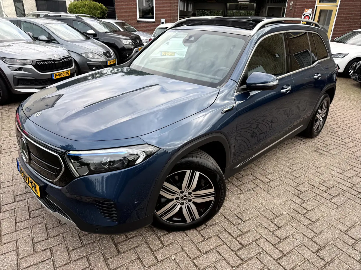 250 Luxury Line 67 kWh SOH 95.6%,Panoramadak, Camera, Stoelverwarming