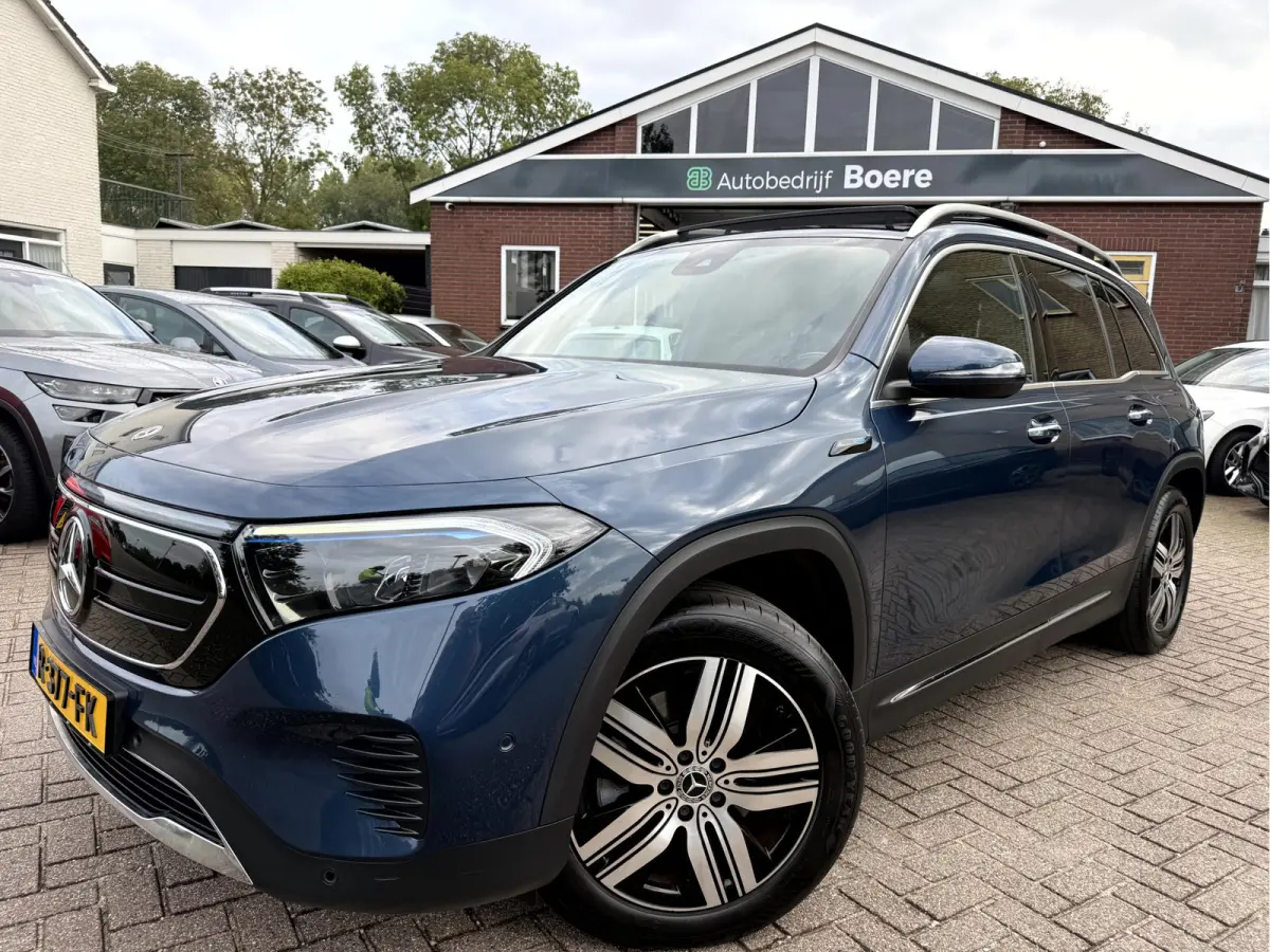 250 Luxury Line 67 kWh SOH 95.6%,Panoramadak, Camera, Stoelverwarming