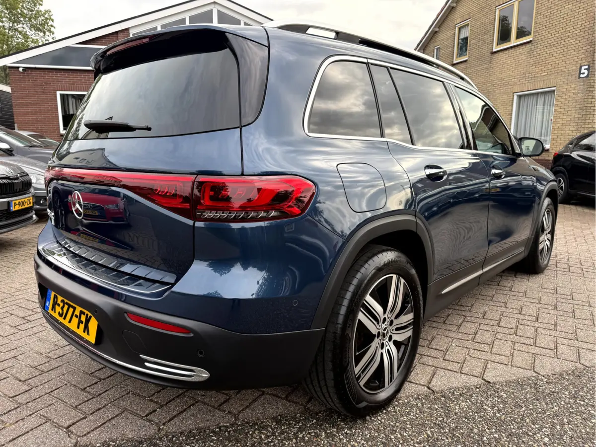 250 Luxury Line 67 kWh SOH 95.6%,Panoramadak, Camera, Stoelverwarming