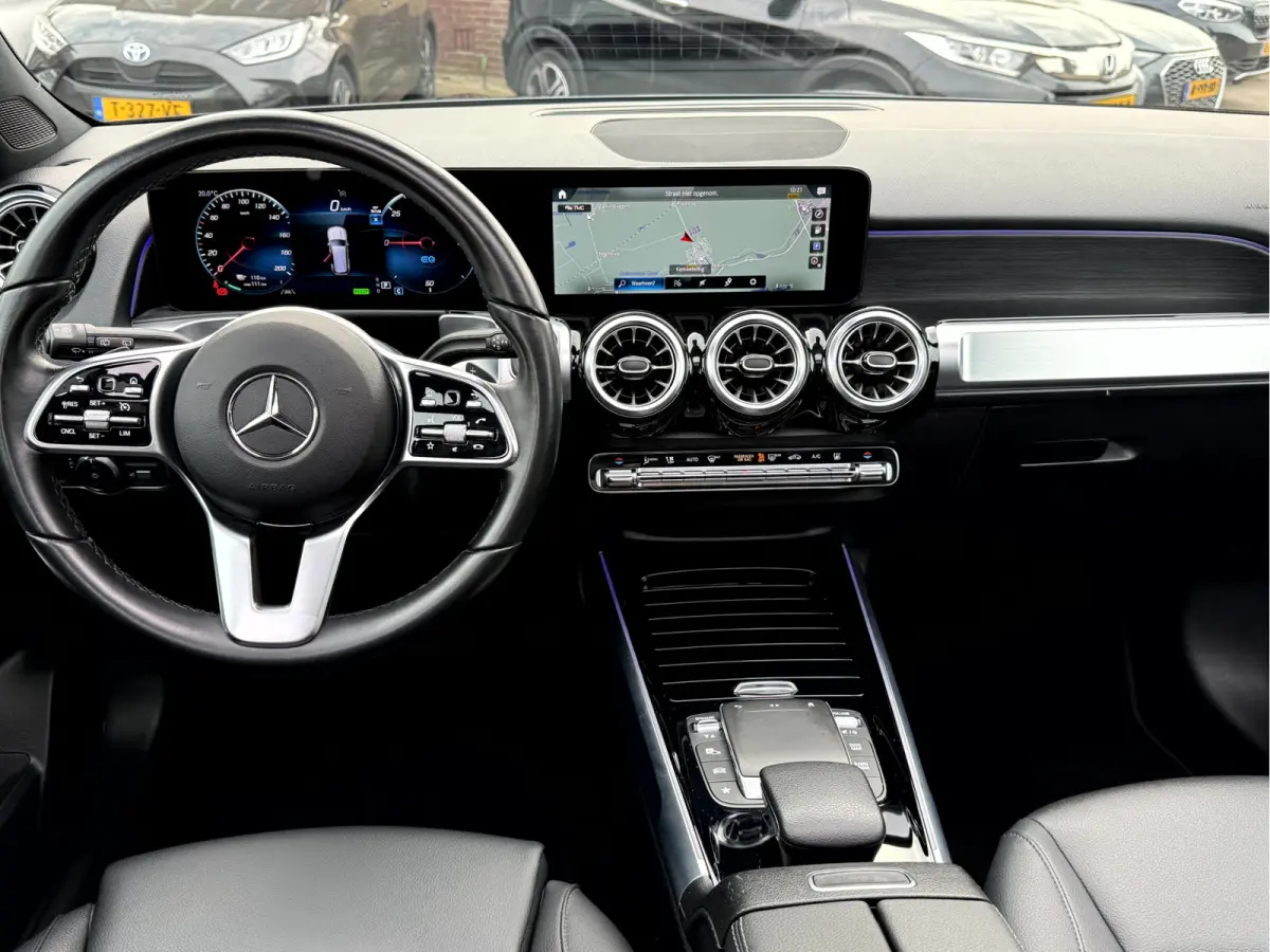 250 Luxury Line 67 kWh SOH 95.6%,Panoramadak, Camera, Stoelverwarming