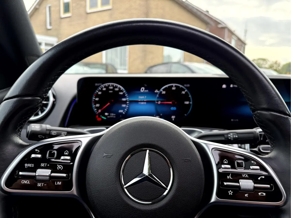250 Luxury Line 67 kWh SOH 95.6%,Panoramadak, Camera, Stoelverwarming
