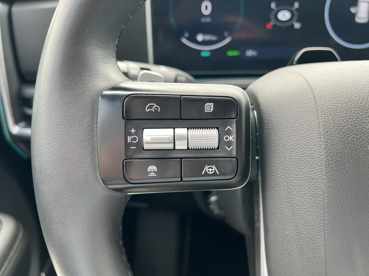 1.6 T-GDI 252pk PHEV Premium Plus 4WD 7p. | Elektrische trekhaak | Sidesteps | Premium Audio | Bestuurdersstoel met geheugen | Dodehoek detectie | Full-LED koplampen | Head-up display | Stoe
