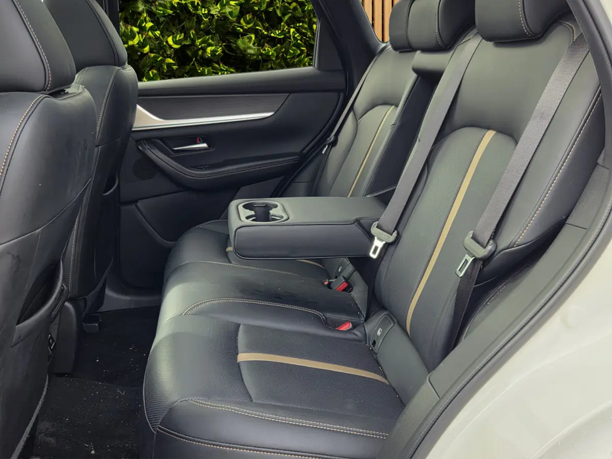 2.5 e-SkyActiv PHEV Homura Plus