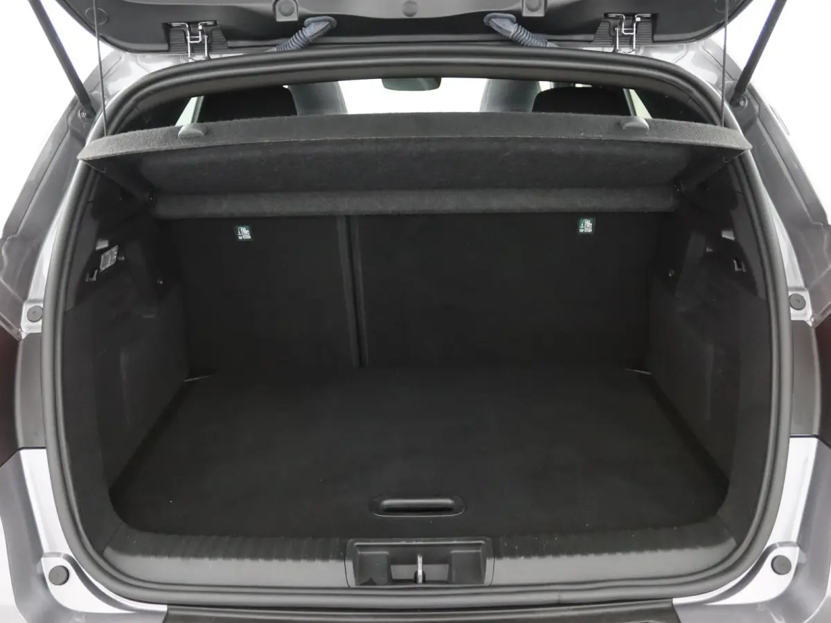 esprit Alpine full hybrid E-Tech 145 | Harman Kardon | Panoramadak | Trekhaak |