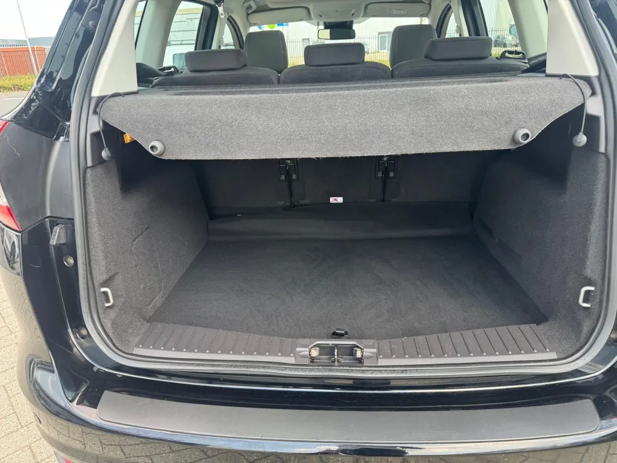 1.0 Titanium 125pk | Navigatie | Panorama Dak | Elektrische Achter klep