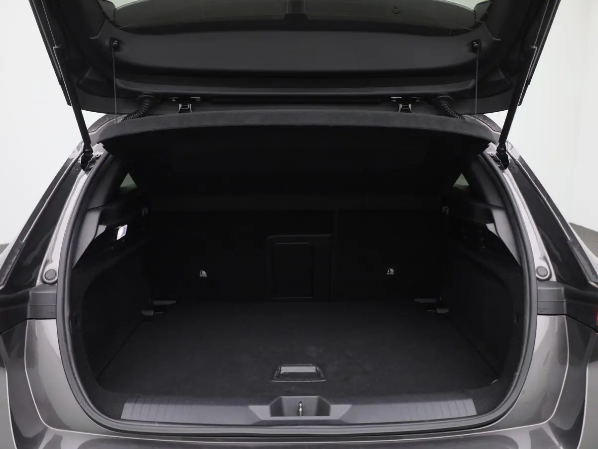 1.2 Business Elegance | WORDT VERWACHT | AUTOMAAT | ACHTERUITRIJCAMERA | APPLE CARPLAY - ANDROID AUTO | STOELVERWARMING | STUURWIELVERWARMING | CLIMATE CONTROL | ADAPTIVE CRUISE CONTROL |