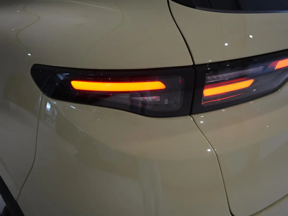 ProMax Design 67.1 kWh | Navigatie | Camera | i9 inch velgen | Apple carplay