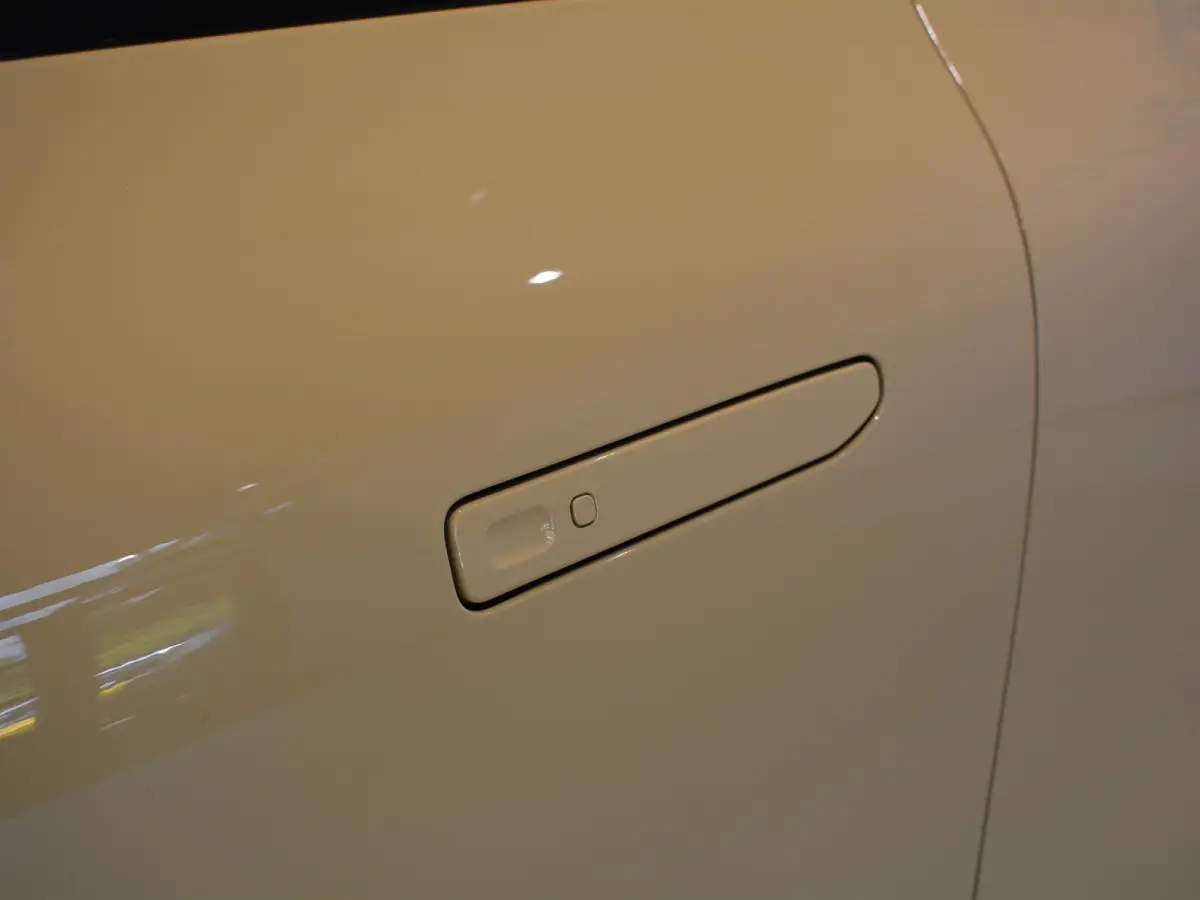 ProMax Design 67.1 kWh | Navigatie | Camera | i9 inch velgen | Apple carplay