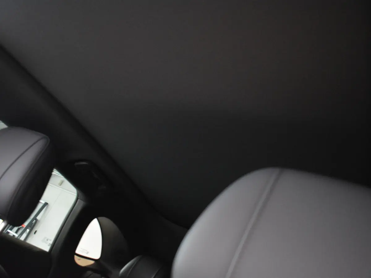 ProMax Design 67.1 kWh | Navigatie | Camera | i9 inch velgen | Apple carplay
