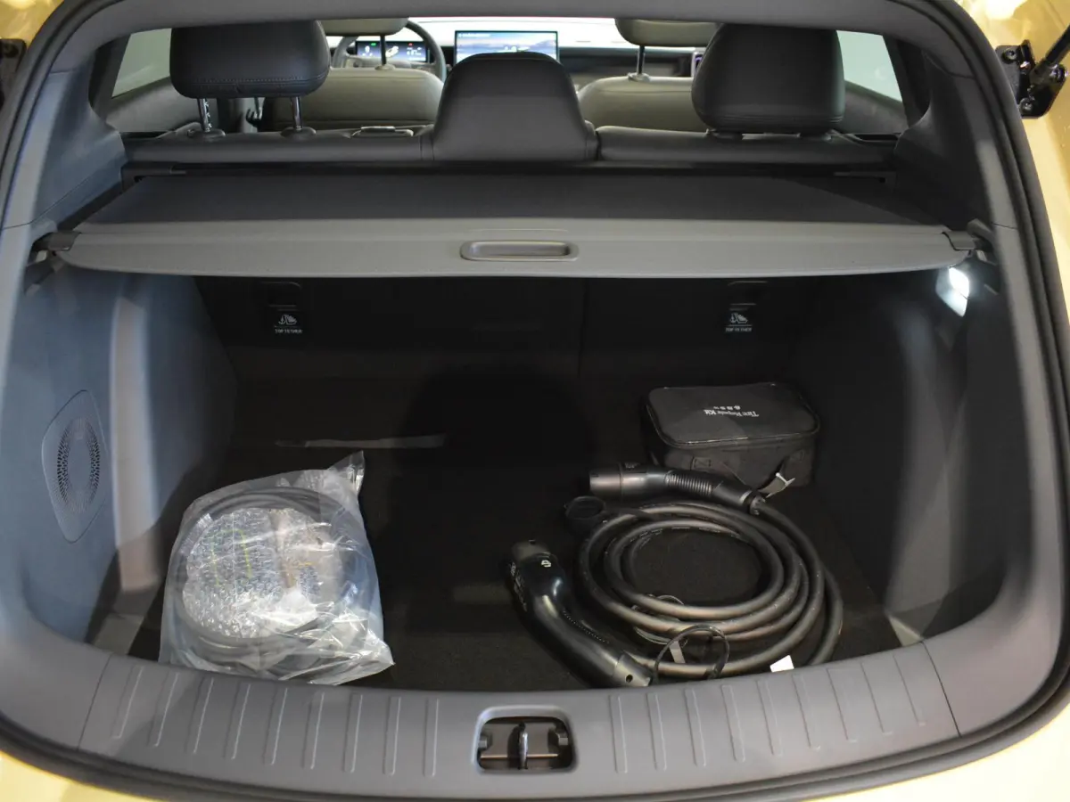 ProMax Design 67.1 kWh | Navigatie | Camera | i9 inch velgen | Apple carplay