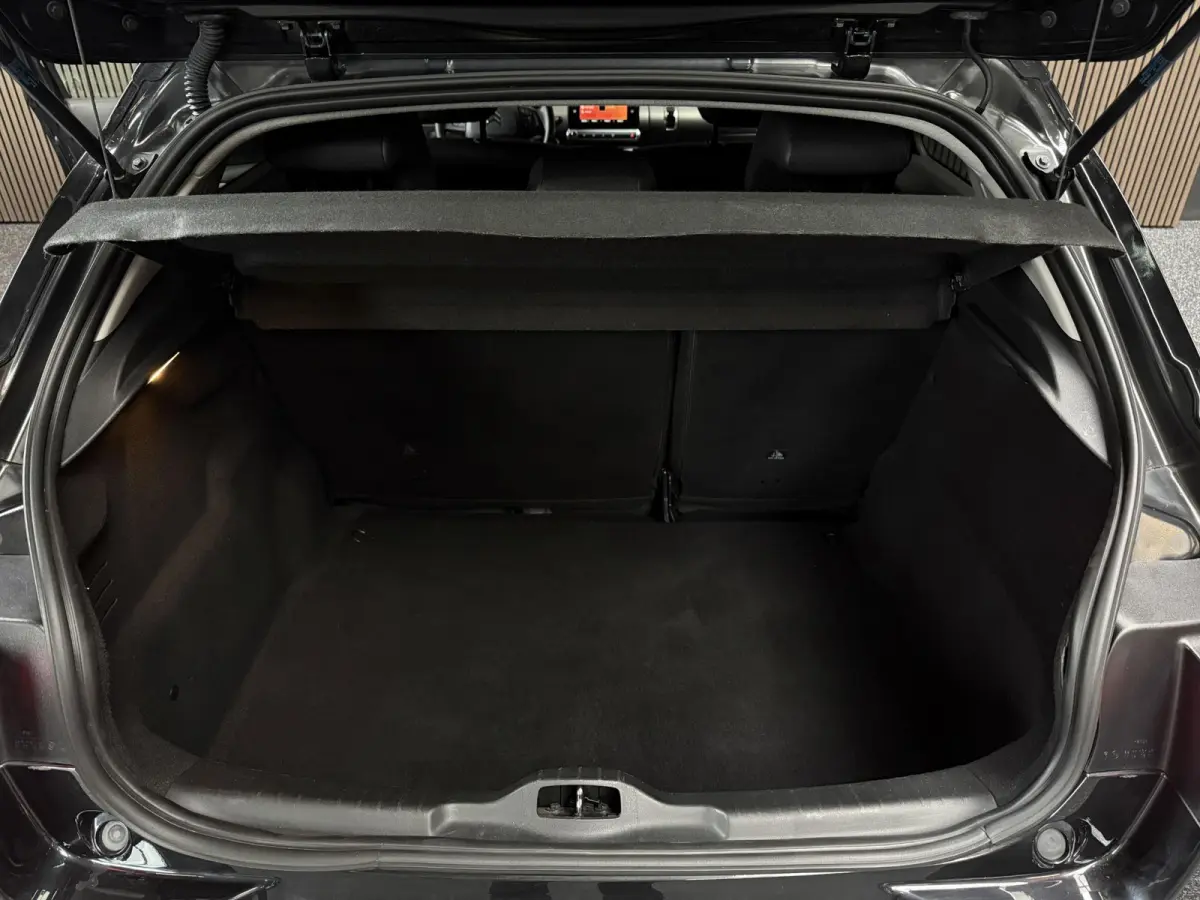 1.2 PureTech Business | Carplay | Camera | Riem vervangen