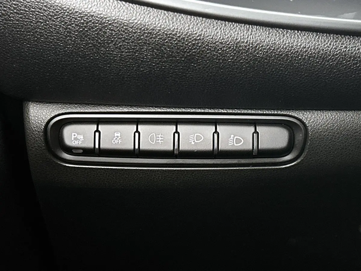 42 kWh 118pk Icon | Apple Carplay/Android Auto | Dodehoekdetectie | Camera | Stoelverwarming | Climate Control | Cruise Control |