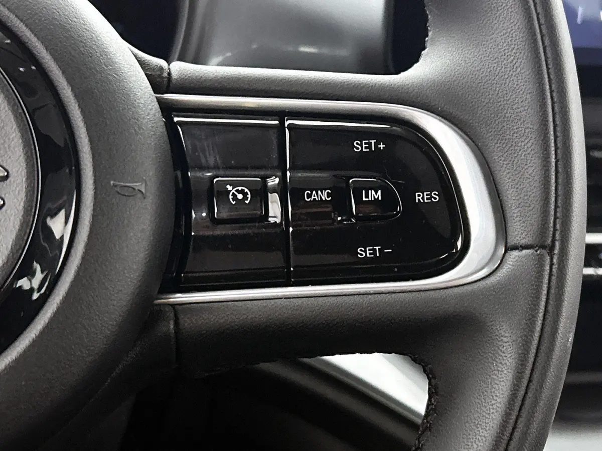 42 kWh 118pk Icon | Apple Carplay/Android Auto | Dodehoekdetectie | Camera | Stoelverwarming | Climate Control | Cruise Control |