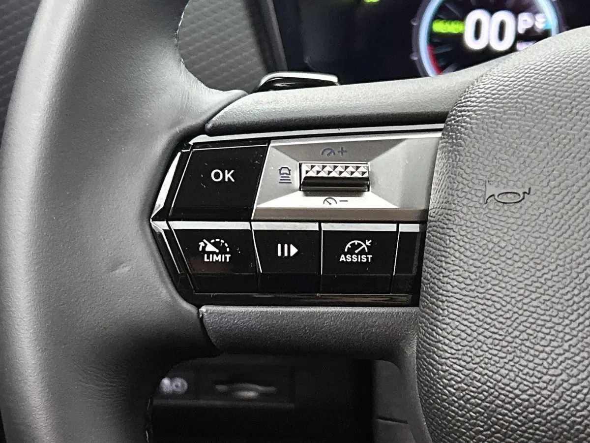 213pk Pallas Tech Pack 58.3 kWh Automaat | Elektrisch Verstelb. Bestuurdersstoel | Adaptieve Cruise Control | Stoelverwarming | Navigatie | 19"LMV |