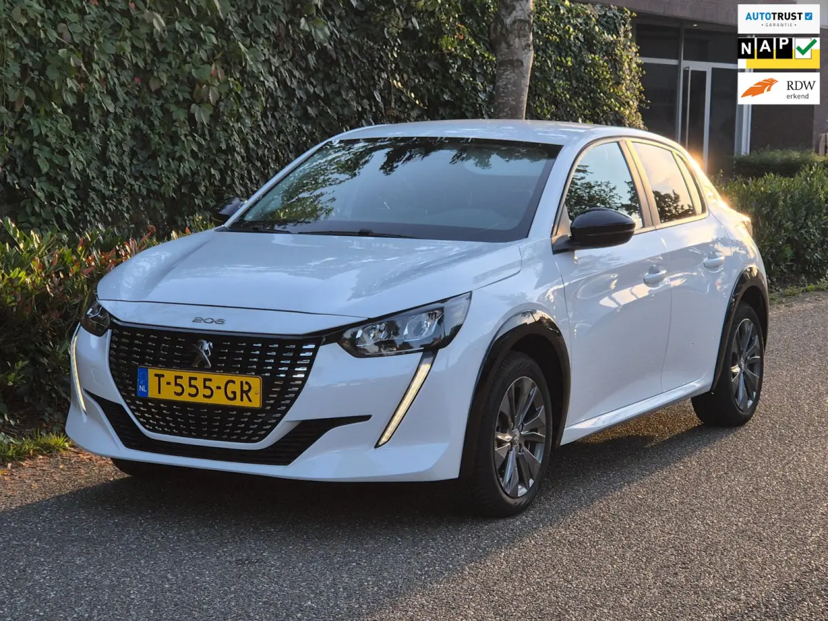 EV Active 1e Eigenaar SoH 95,3 % Pack 50 kWh Led NAP CarPlay Navi