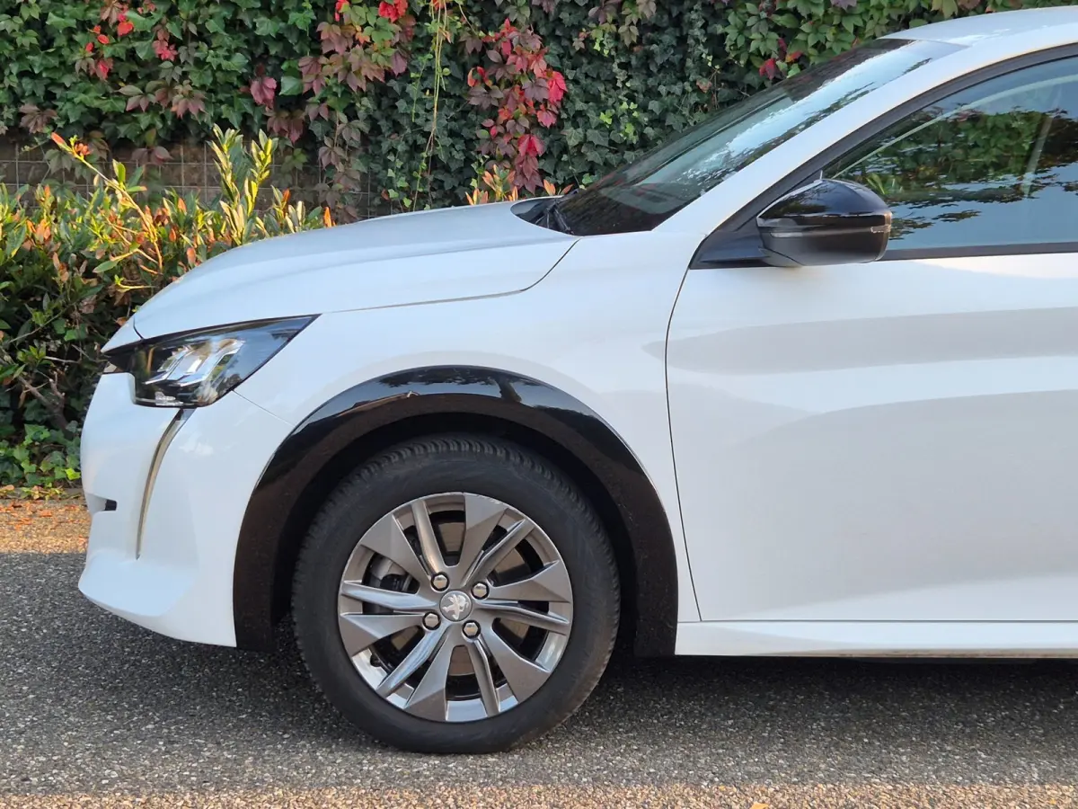 EV Active 1e Eigenaar SoH 95,3 % Pack 50 kWh Led NAP CarPlay Navi