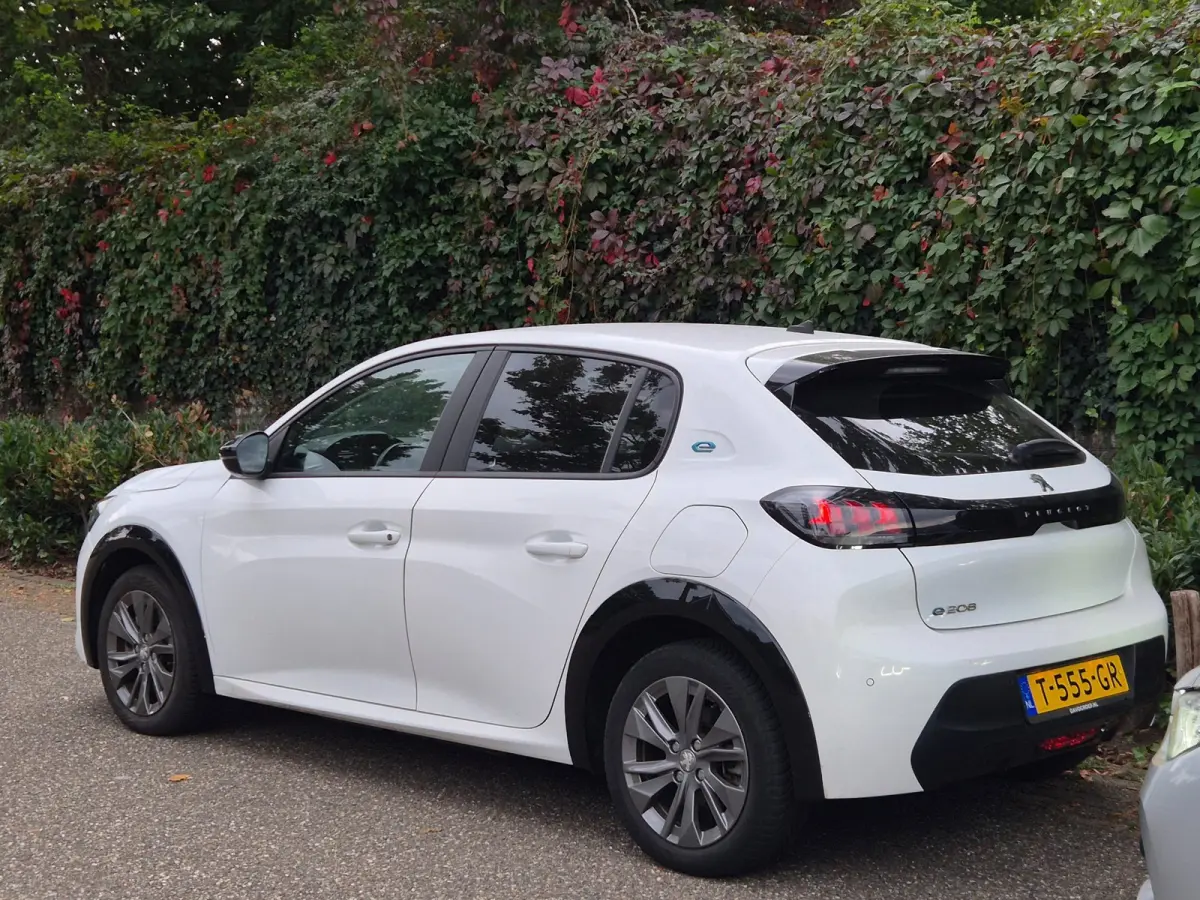 EV Active 1e Eigenaar Pack 50 kWh Led NAP