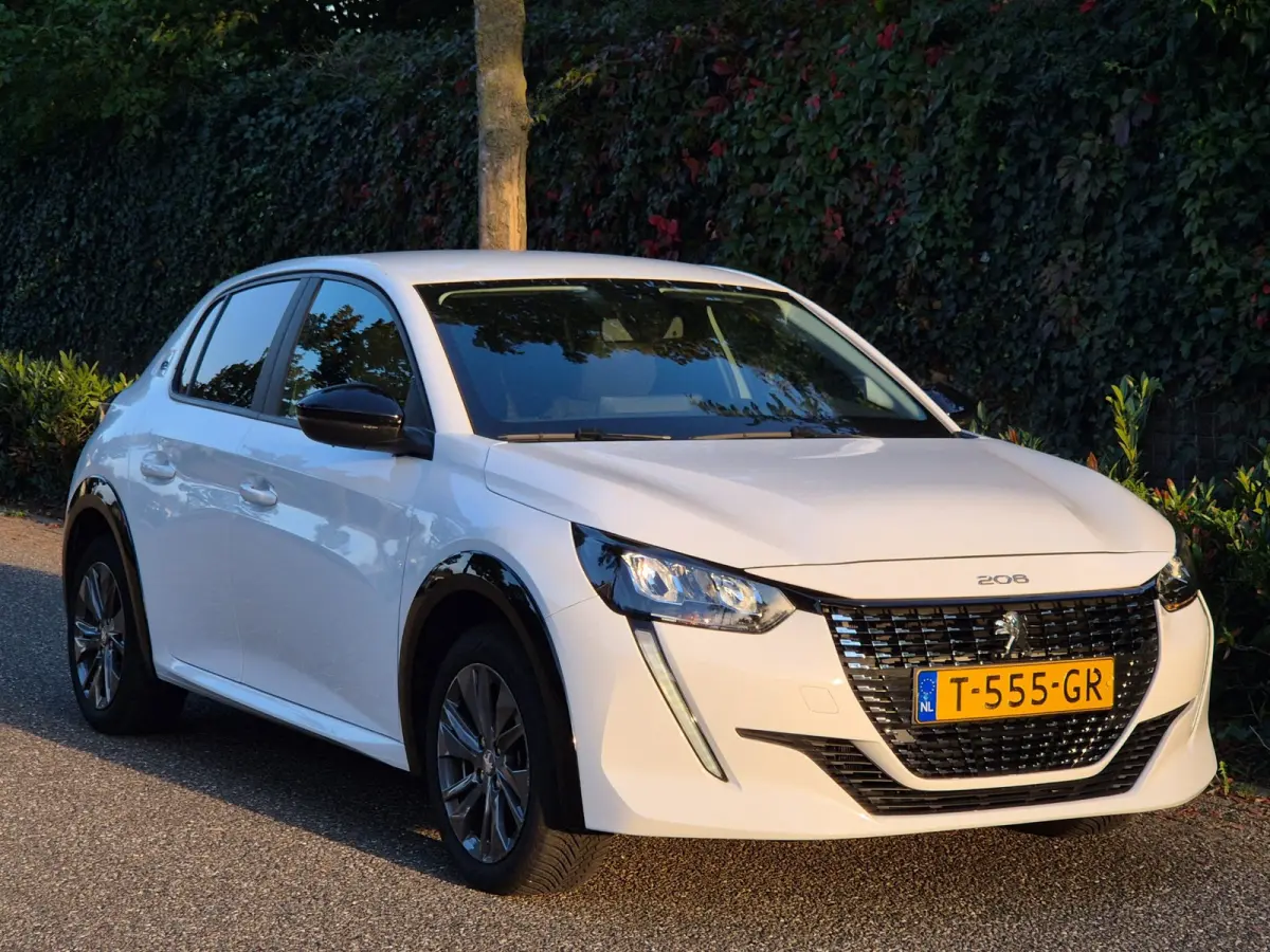 EV Active 1e Eigenaar SoH 95,3 % Pack 50 kWh Led NAP CarPlay Navi