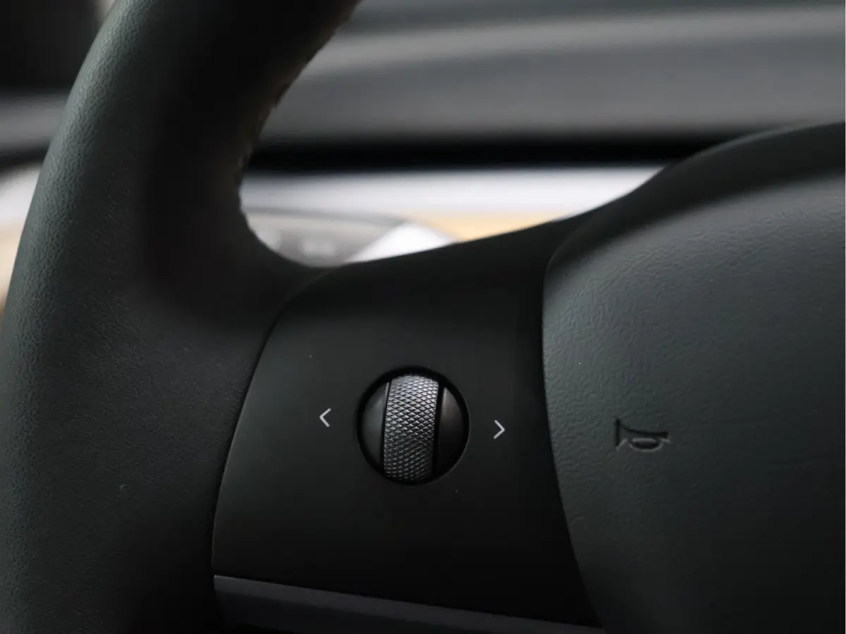 Long Range RWD 75 kWh [SOH 95%, PANORAMADAK, STOELVERWARMING V+A, STUURWIEL VERWARMING, CAMERA, ELEKTRISCH VERSTELBARE STOELEN, ELEKTRISCH ACHTERLKLEP, SELF DRIVING BETA, NAVIGATIE, BLUETOOT
