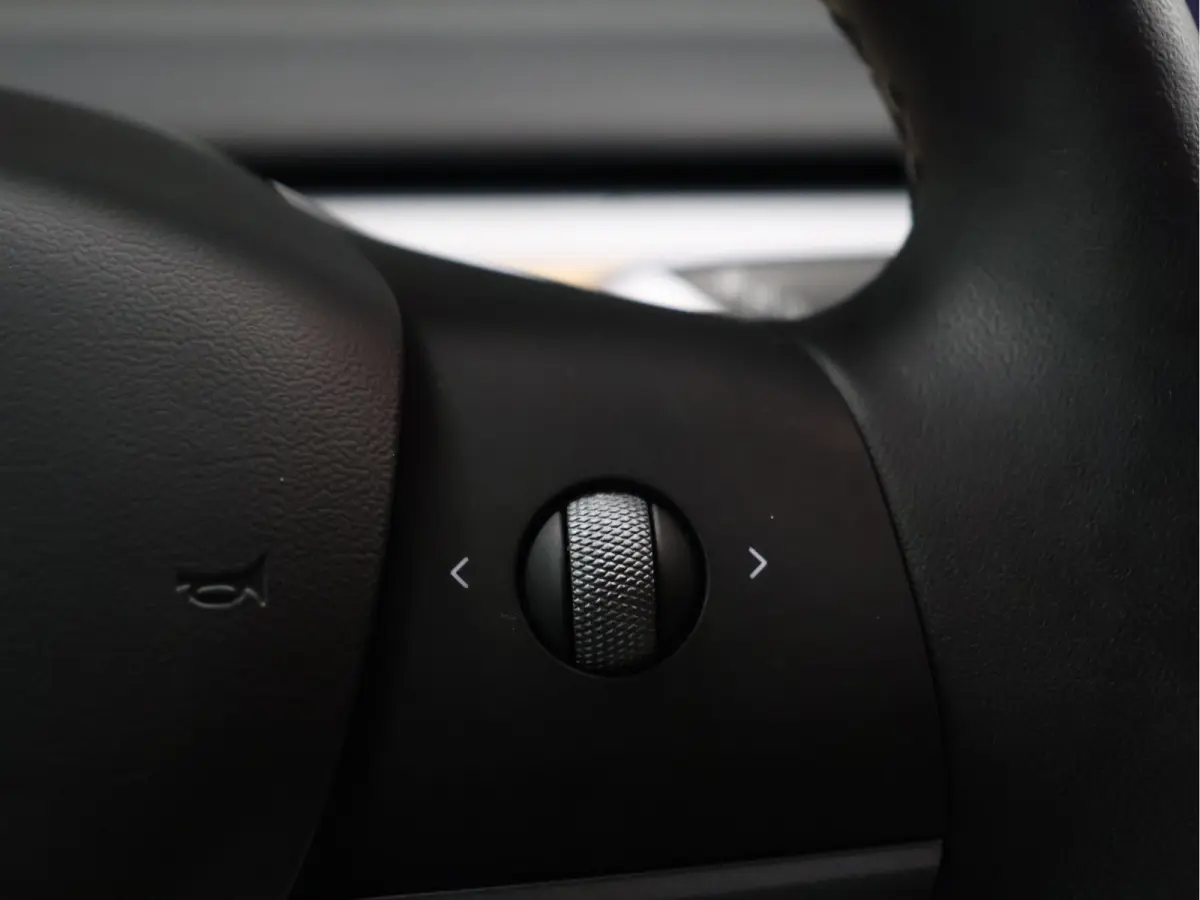 Long Range RWD 75 kWh [SOH 95%, PANORAMADAK, STOELVERWARMING V+A, STUURWIEL VERWARMING, CAMERA, ELEKTRISCH VERSTELBARE STOELEN, ELEKTRISCH ACHTERLKLEP, SELF DRIVING BETA, NAVIGATIE, BLUETOOT