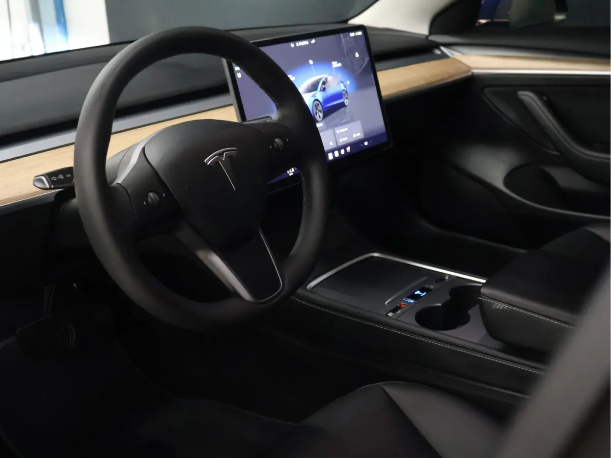 Long Range RWD 75 kWh [SOH 95%, PANORAMADAK, STOELVERWARMING V+A, STUURWIEL VERWARMING, CAMERA, ELEKTRISCH VERSTELBARE STOELEN, ELEKTRISCH ACHTERLKLEP, SELF DRIVING BETA, NAVIGATIE, BLUETOOT