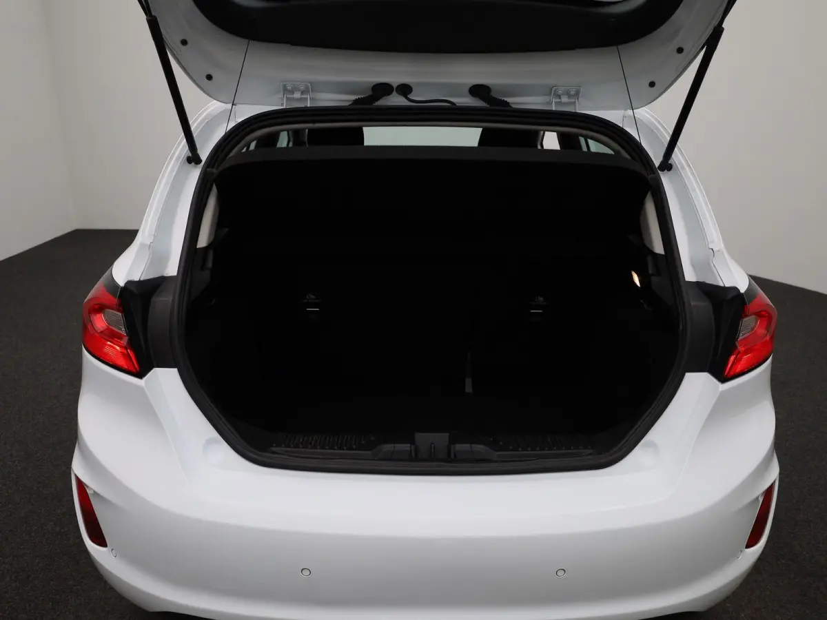 1.0 EcoBoost Hybrid Titanium | Cruise Control | Parkeersensoren Achter | Apple Carplay/Android Auto | Airco |