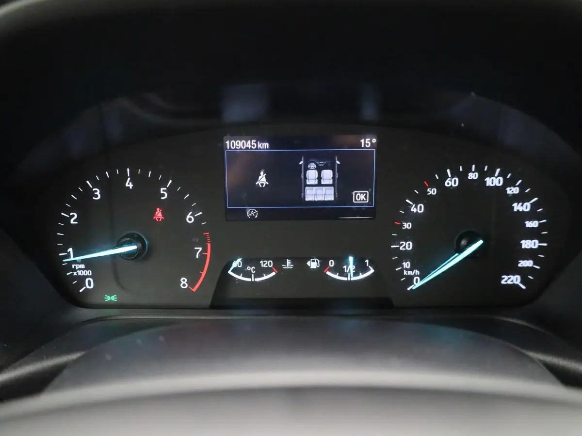 1.0 EcoBoost Hybrid Titanium | Cruise Control | Parkeersensoren Achter | Apple Carplay/Android Auto | Airco |