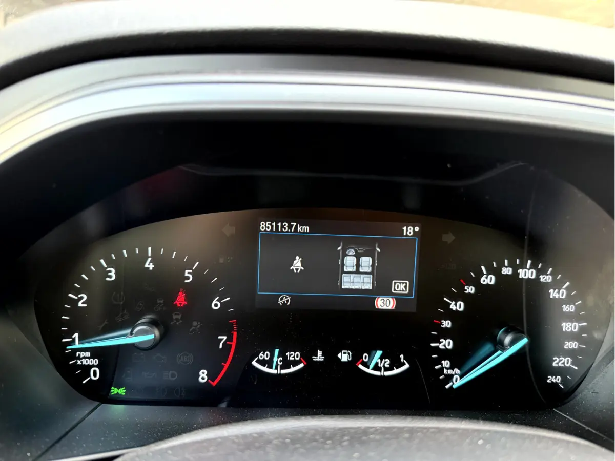 1.0 EcoBoost Hybrid ST Line X Winterpakket, Camera, 17''Lmv