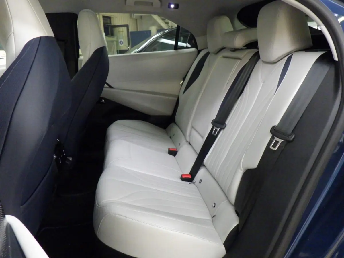 Pallas 74 kWh | Leder | Schuif-/Kanteldak | Climate Control | 360 Camera | !!