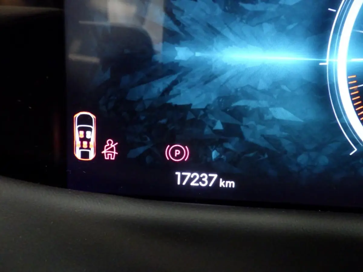 Pallas 74 kWh | Leder | Schuif-/Kanteldak | Climate Control | 360 Camera | !!
