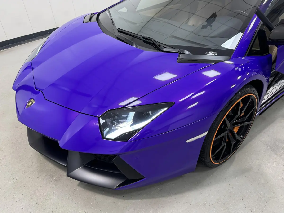 50th*NOVITEC*CAPRISTO*SENSONUM*GLAS*CARBON*LIFT*