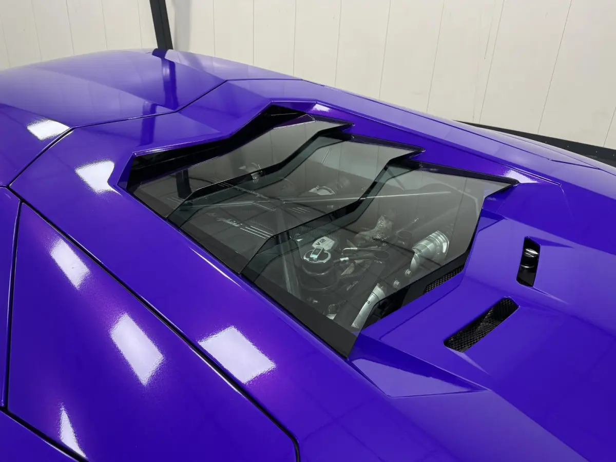 50th*NOVITEC*CAPRISTO*SENSONUM*GLAS*CARBON*LIFT*