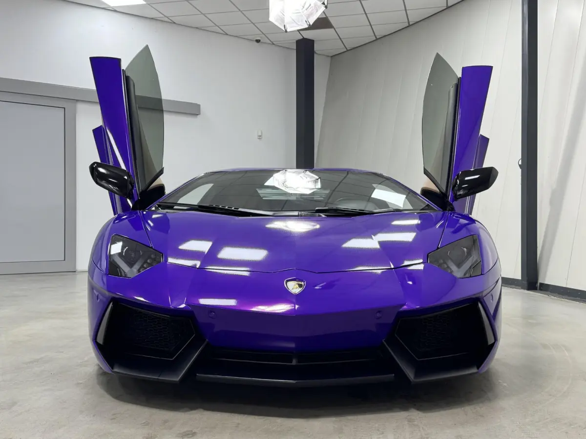 50th*NOVITEC*CAPRISTO*SENSONUM*GLAS*CARBON*LIFT*