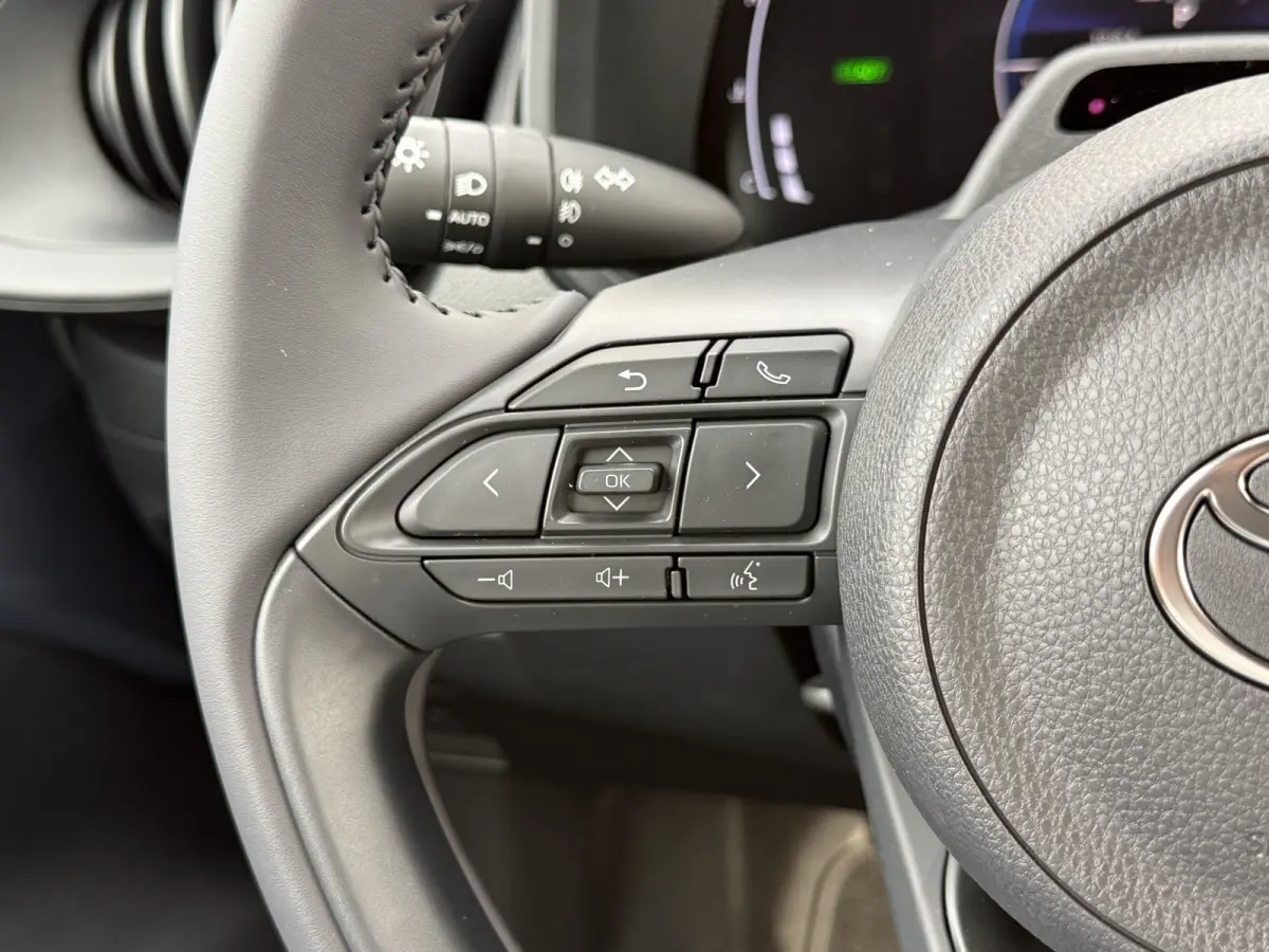 Hybrid 115 pulse | CarPlay | ACC | Camera | LED | DAB+