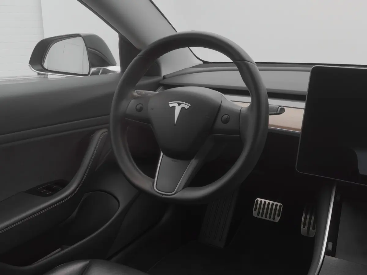Standard RWD Plus 60 kWh | PANO | AUTOPILOT | STOELVERWARMING