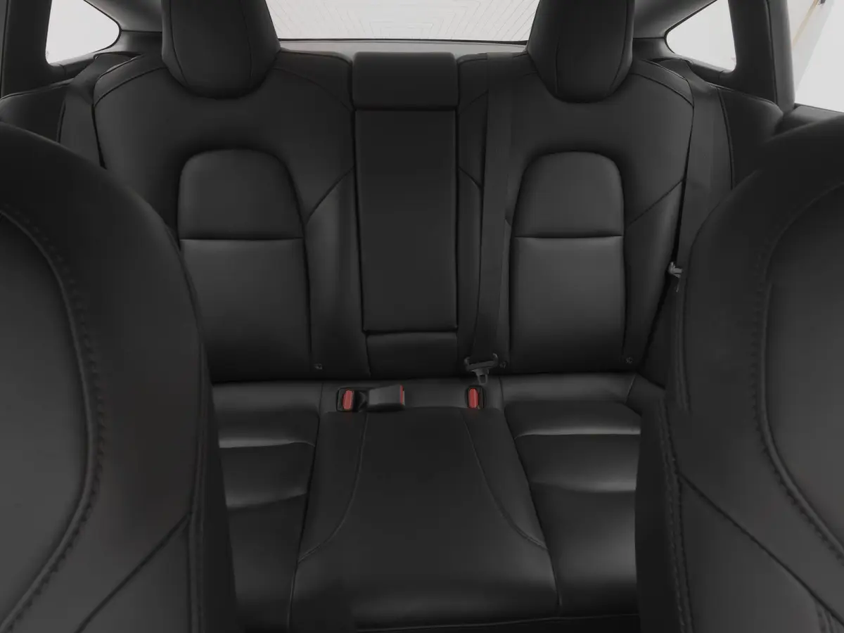 Standard RWD Plus 60 kWh | PANO | AUTOPILOT | STOELVERWARMING