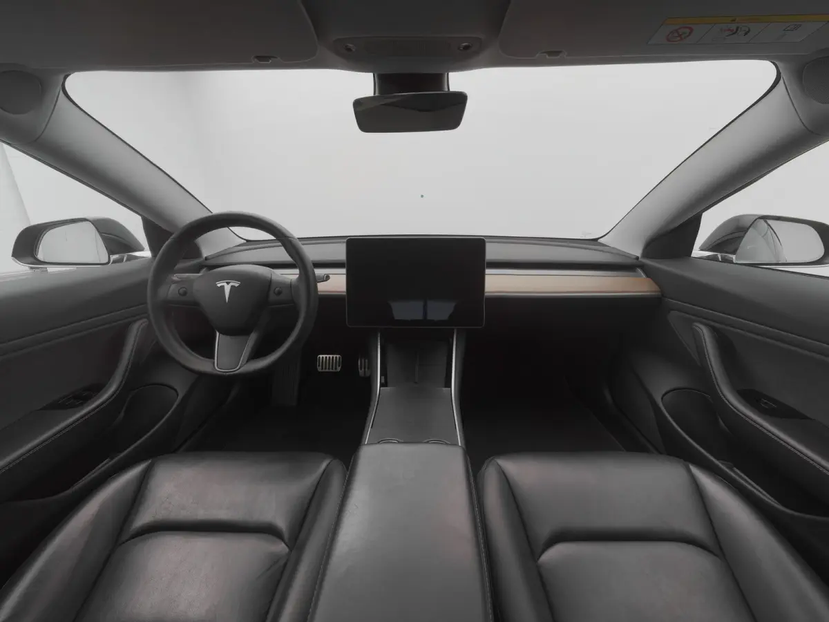 Standard RWD Plus 60 kWh | PANO | AUTOPILOT | STOELVERWARMING