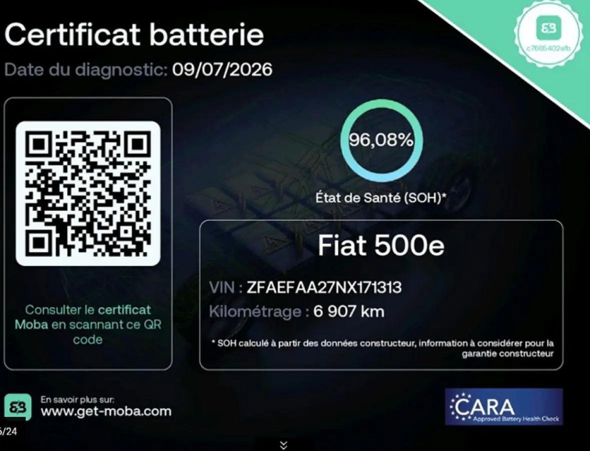 Action Plus 24 kWh *ROSE GOLD Metallic* CARPLAY | AIRCO *SOH 96.08%*