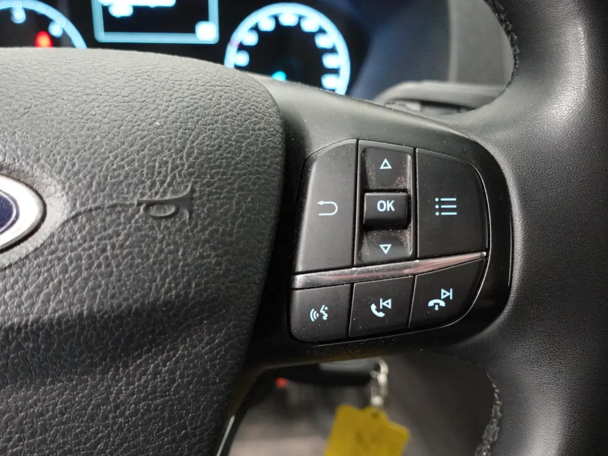 300 2.0 TDCI L2H1 Trend Dubbele Cabine Airco Bluetooth Navigatie Trekhaak