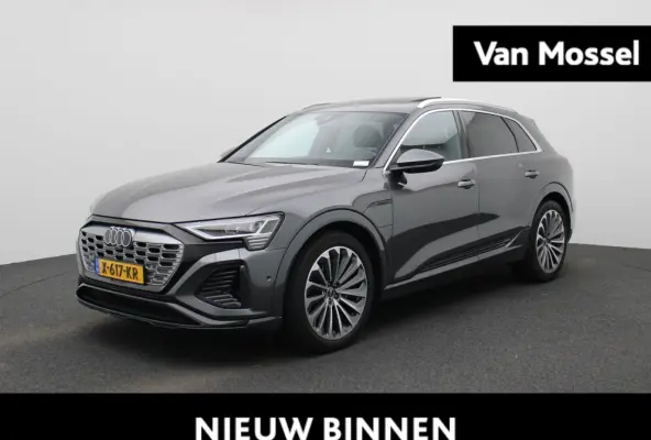 55 quattro S Edition 115 kWh