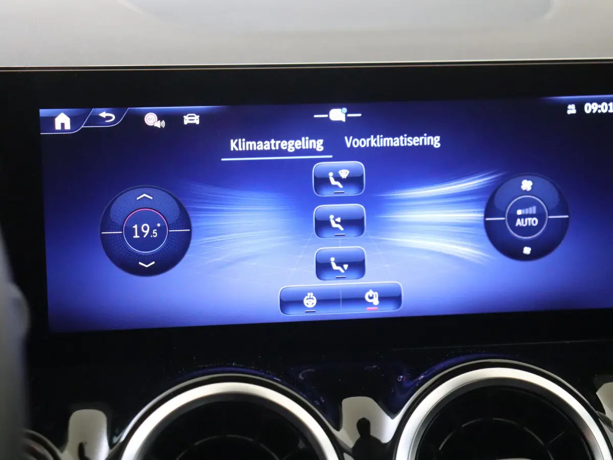250 e Business Solution Luxury / Winterpakket / Achteruitrijcamera /