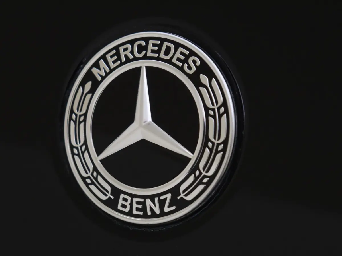 250 e Business Solution Luxury / Winterpakket / Achteruitrijcamera /