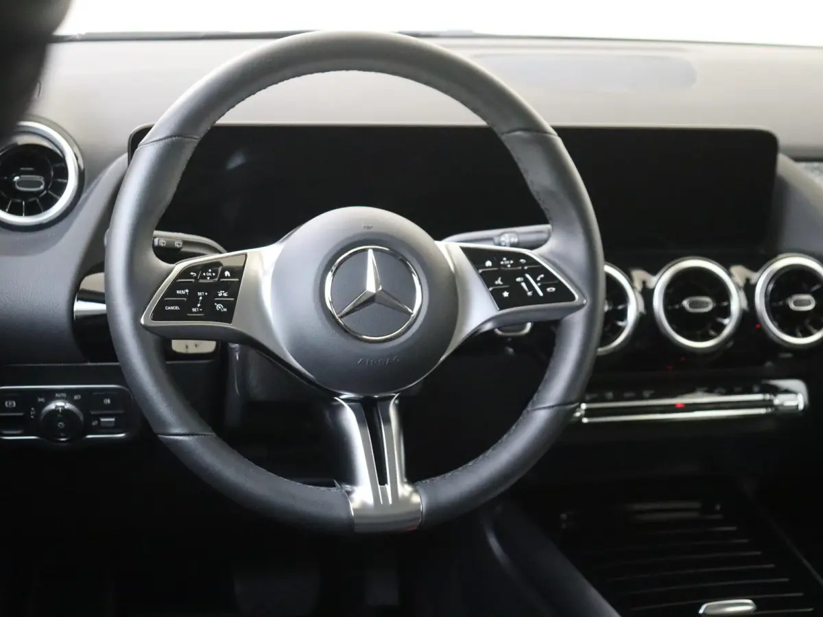 250 e Business Solution Luxury / Winterpakket / Achteruitrijcamera /