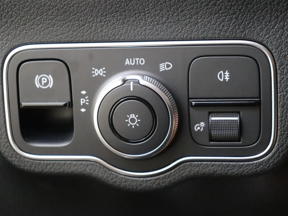 250 e Business Solution Luxury / Winterpakket / Achteruitrijcamera /