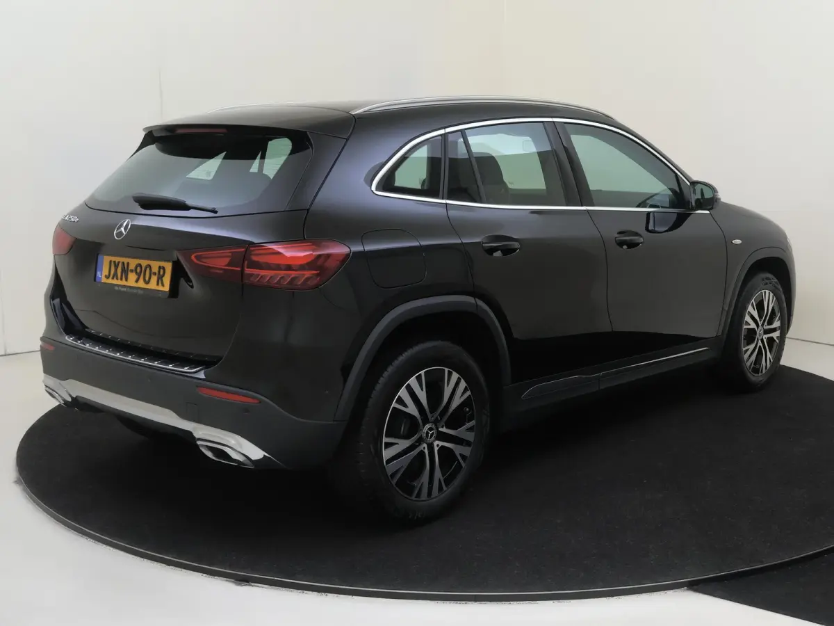 250 e Business Solution Luxury / Winterpakket / Achteruitrijcamera /
