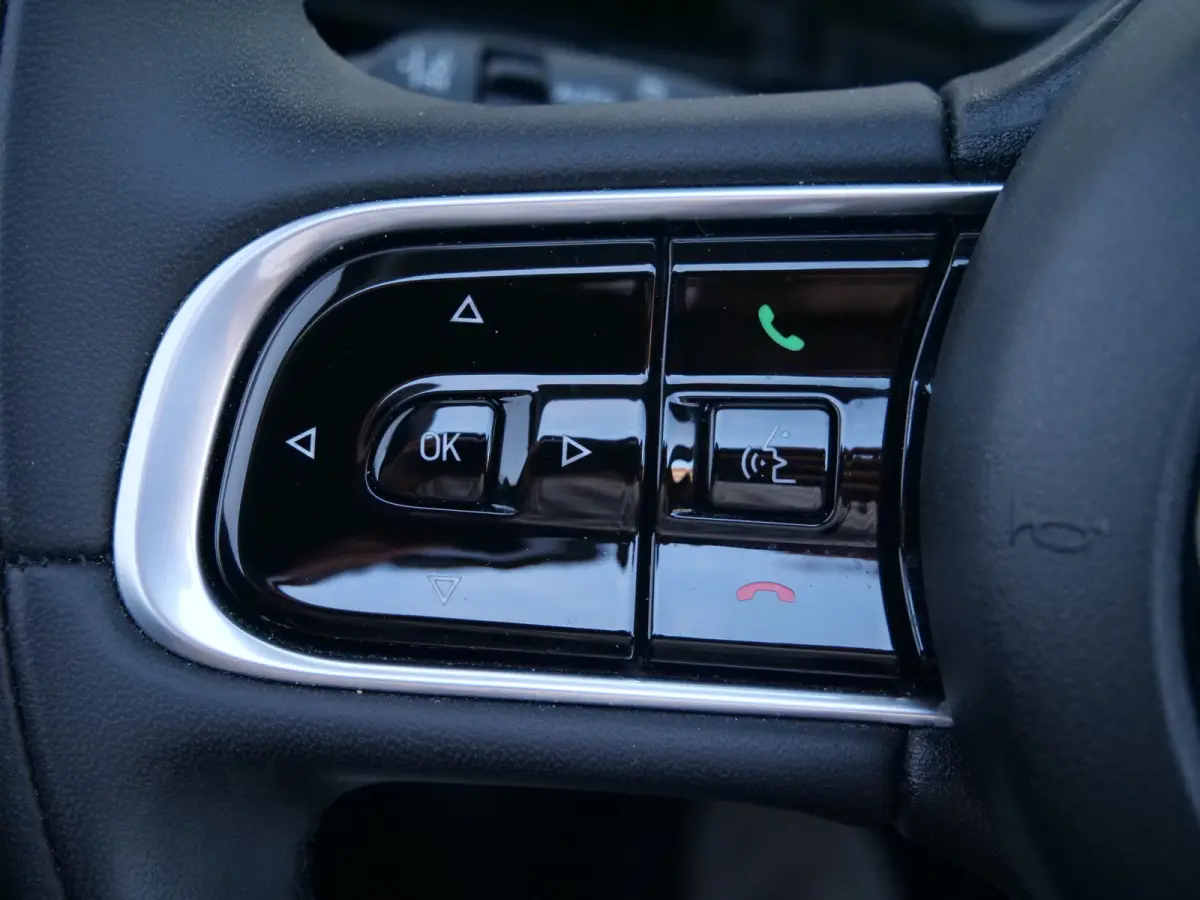 Urban 42 kWh 119 Pk Automaat DAB / Apple Carplay / Camera / Stoelverwarming / SOH 95,7 %