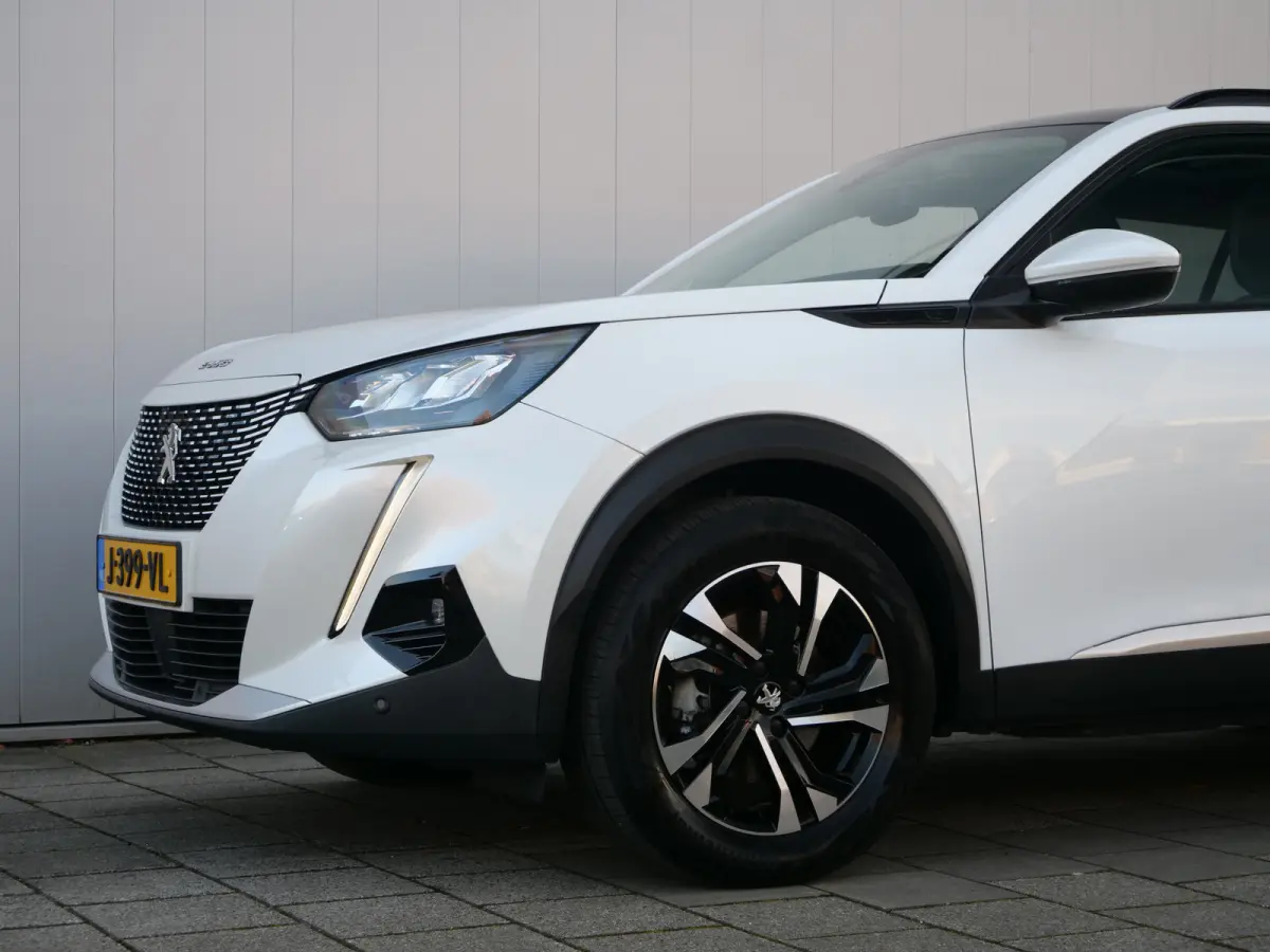 EV Allure 50 kWh 136 Pk Automaat Navi / DAB / Apple Carplay / Camera / SOH 90,5 %
