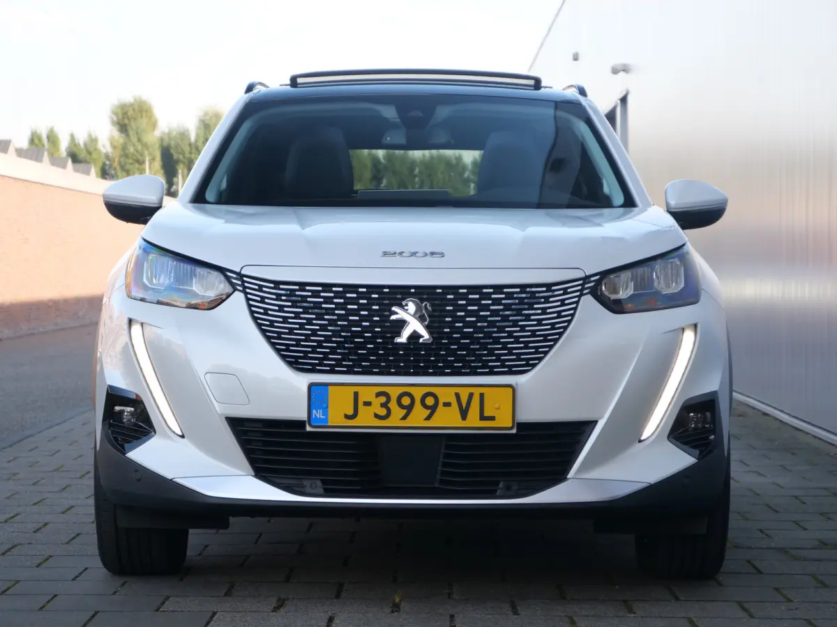 EV Allure 50 kWh 136 Pk Automaat Navi / DAB / Apple Carplay / Camera / SOH 90,5 %