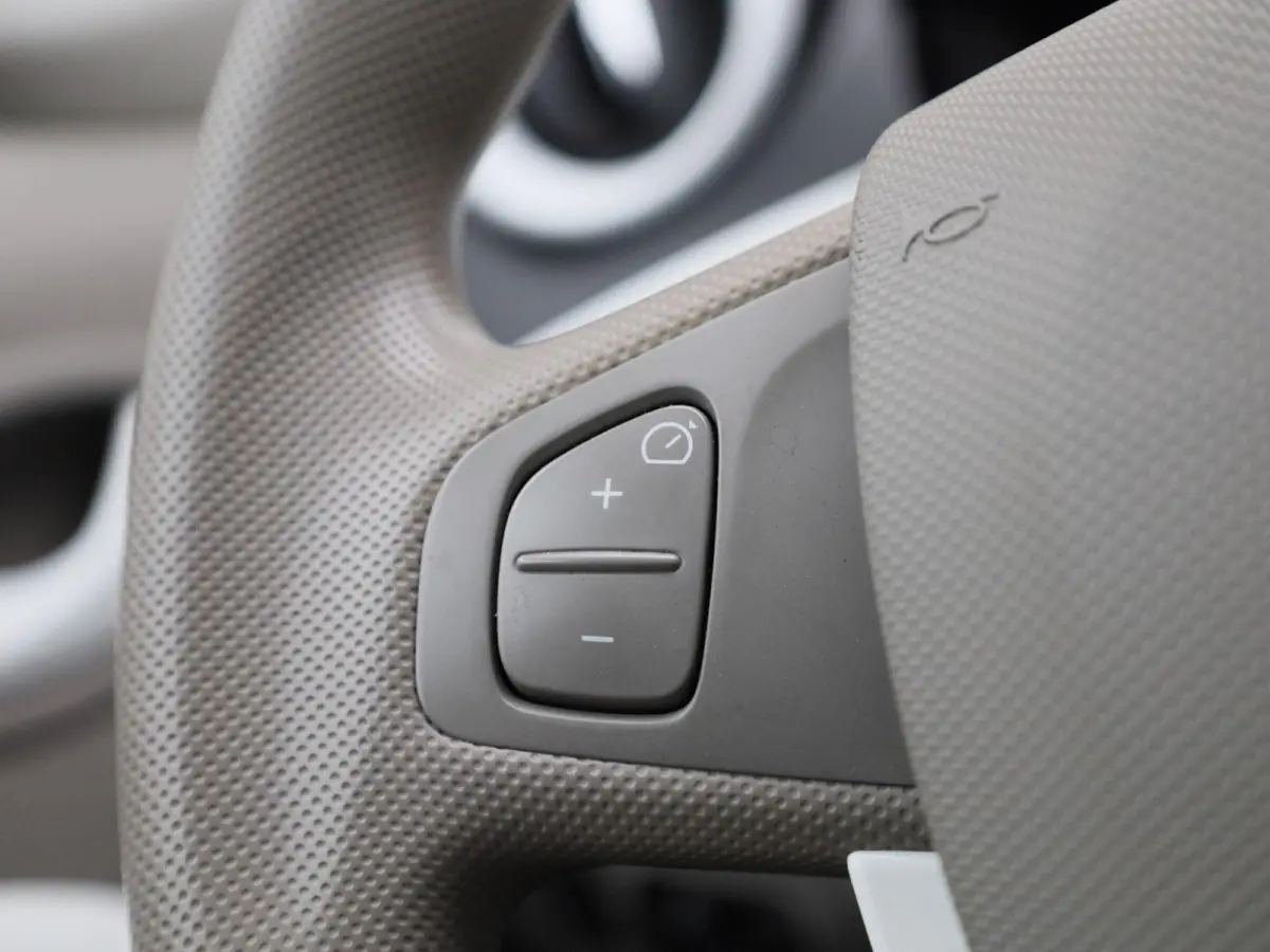 R90 Life 41 kWh | WORDT VERWACHT | NAVIGATIE | PARKEERSENSOREN ACHTER | BLUETOOTH | CRUISE CONTROL | AIRCO | MULTIFUNCTIONEEL STUURWIEL | 5-DEURS |
