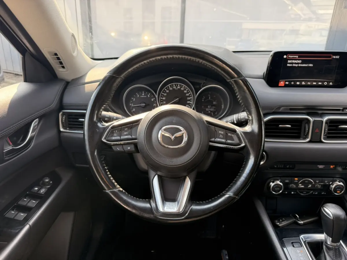 2.0 SAG 165 SkyLease+ | Trekhaak | Automaat